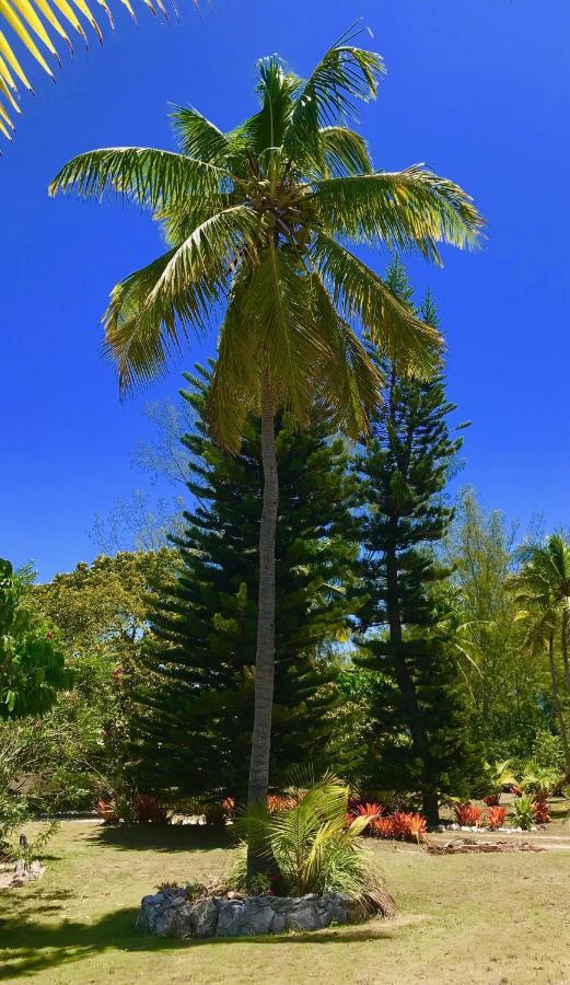 Poponi Cottage Cottage North Palmetto Point Εξωτερικό φωτογραφία